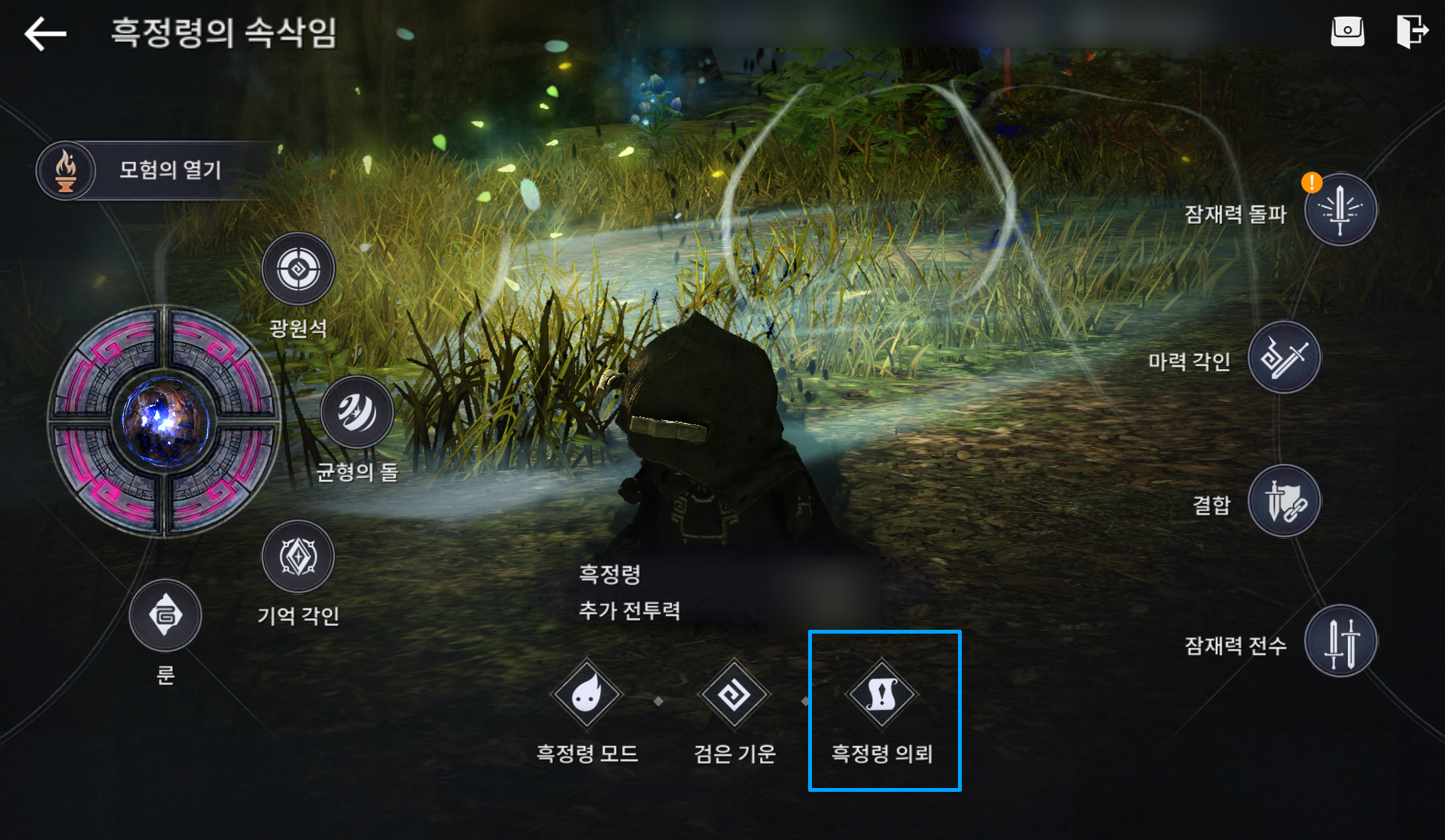흑정령 의뢰